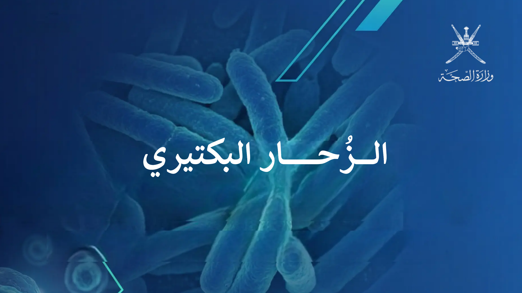 الزحار البكتيري(الشيغيلا) - محاضرة تثقيفية