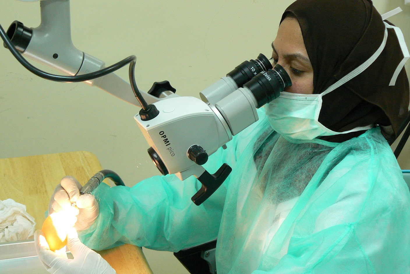 Medical Devices & Equipment (8) Medical Devices & Equipment (8)